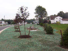 Landscape Installation Example 2